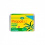 Propolaid Pastillas Blandas Suizas Eucalipto 50g