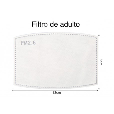 Filtro PM2.5 ( Pack 10 unidades)